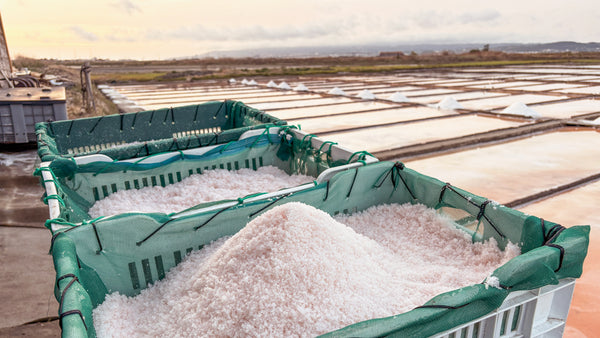 Flor de sal from Silva Salt