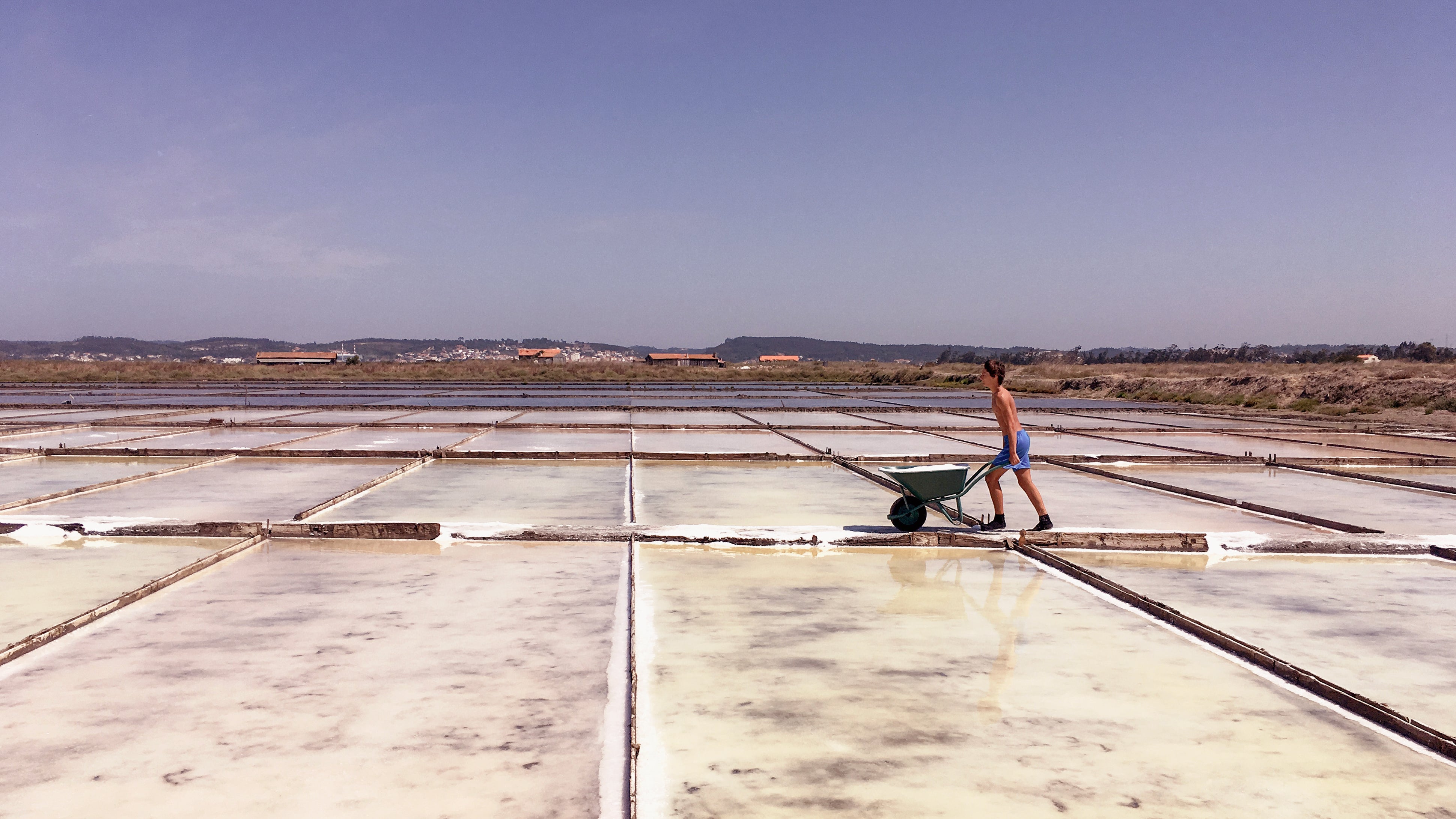 Freshly harvested sea salt being collected by hand, Figueira da Foz