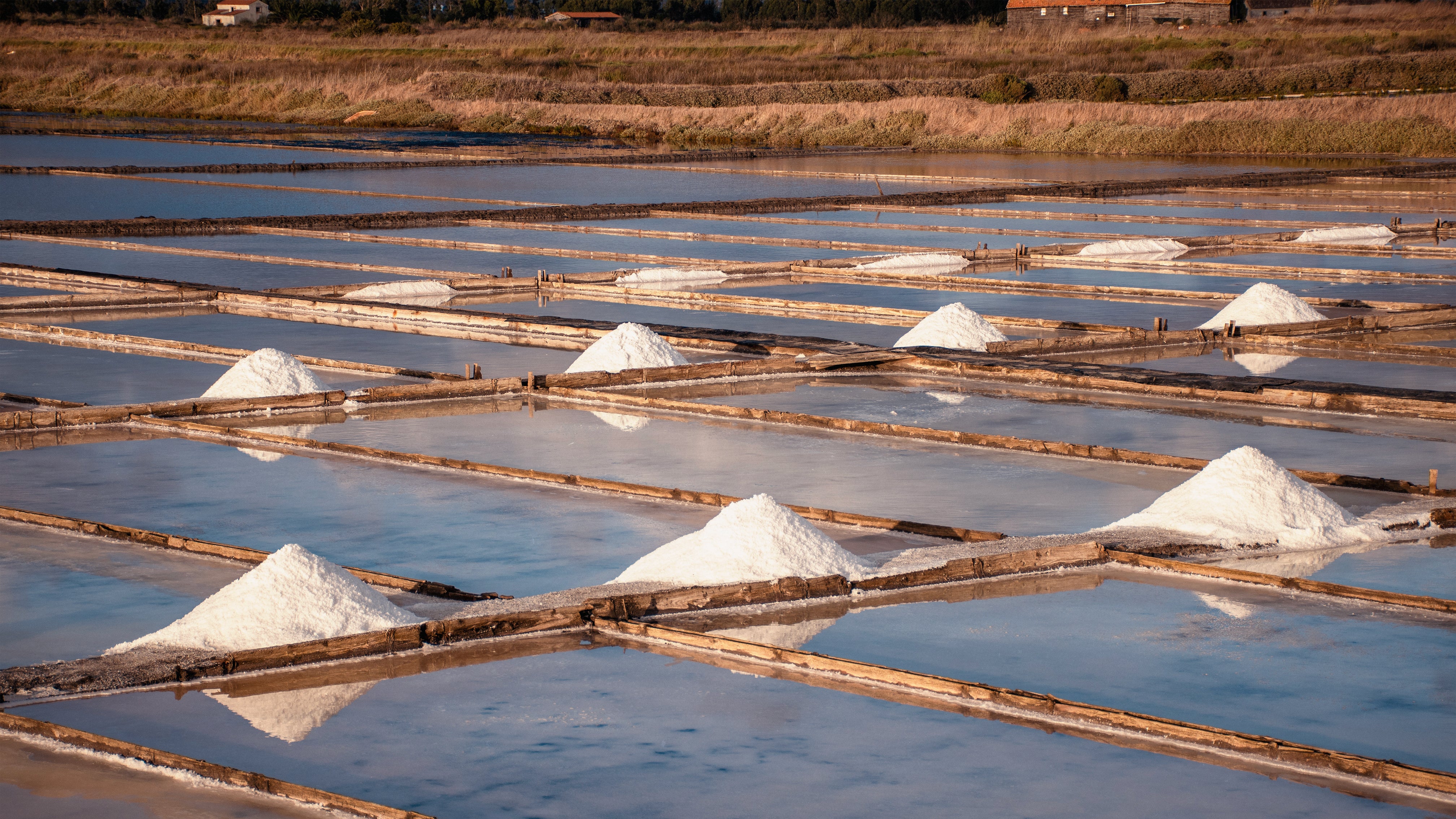 The salt gardens of Figueira da Foz at golden hour