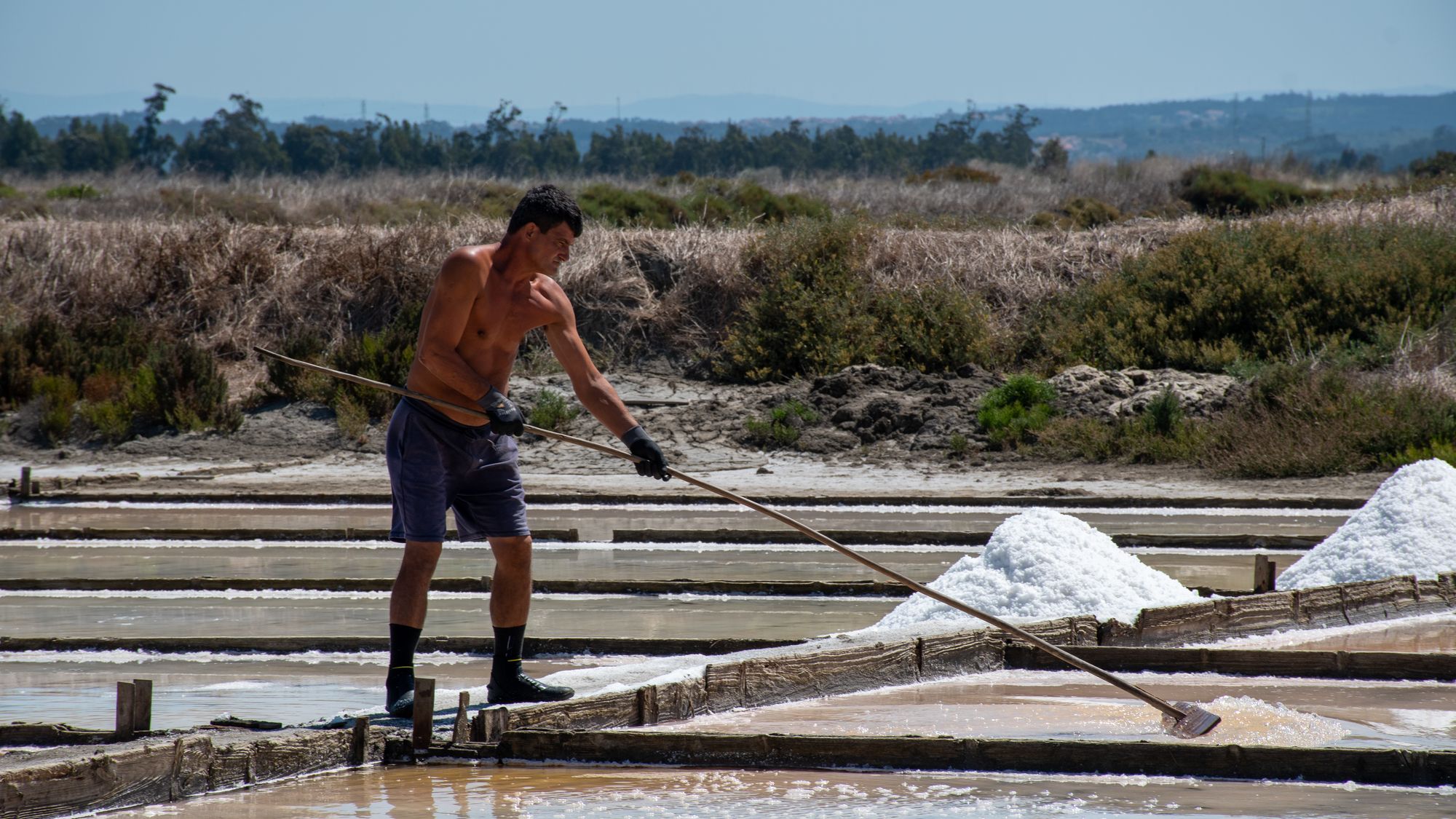 A salt farmer raking the pans by hand, Figueira da Foz