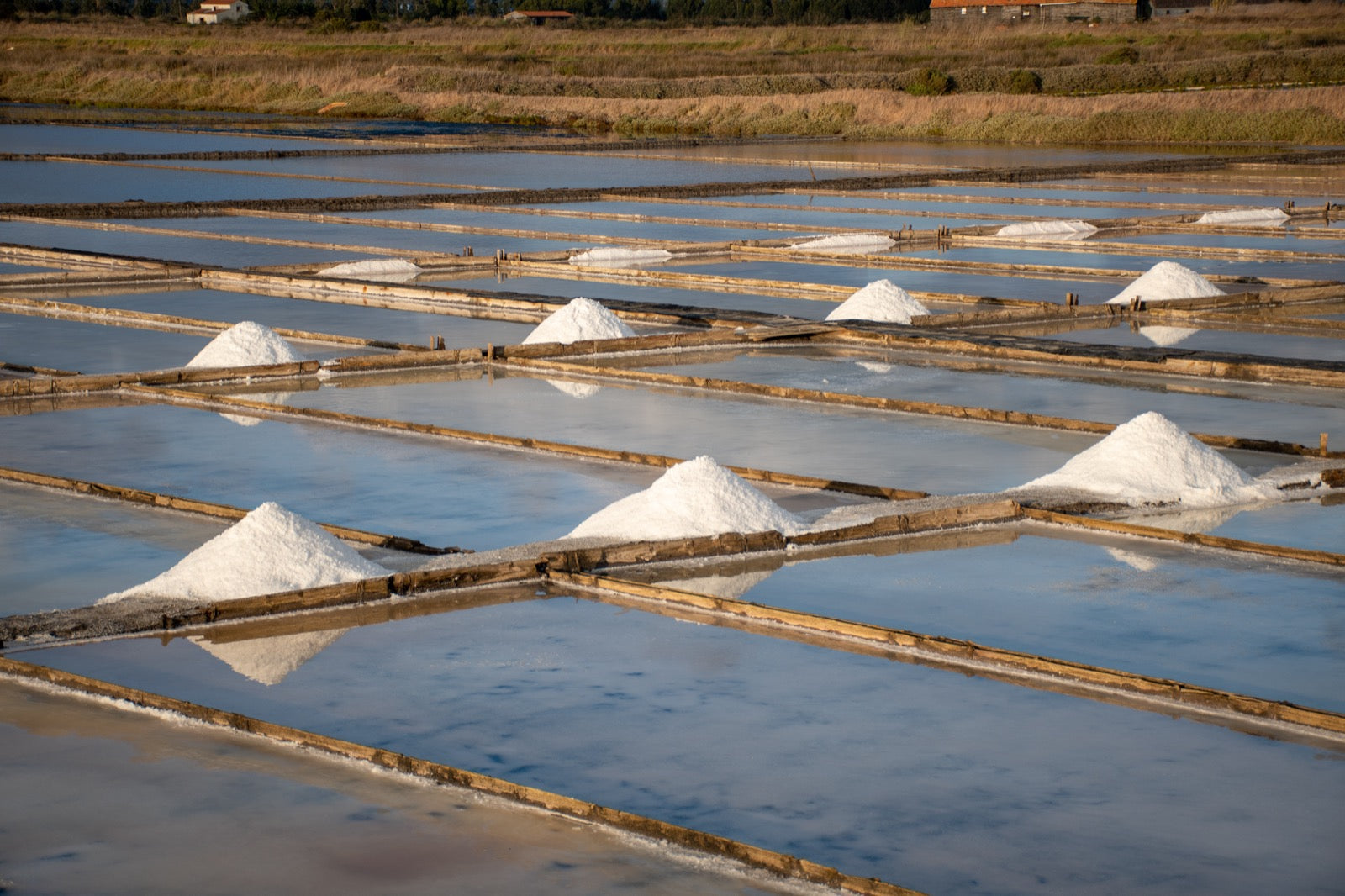 Working salt pans with fresh pyramids of hand-harvested salt drying in the sun, Figueira da Foz