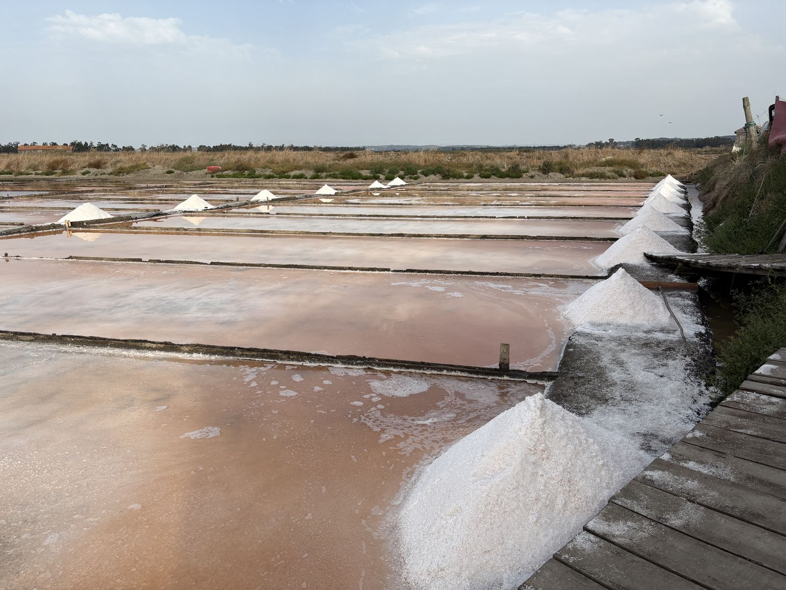 The salt pans of Figueira da Foz at dusk, pink water and white salt