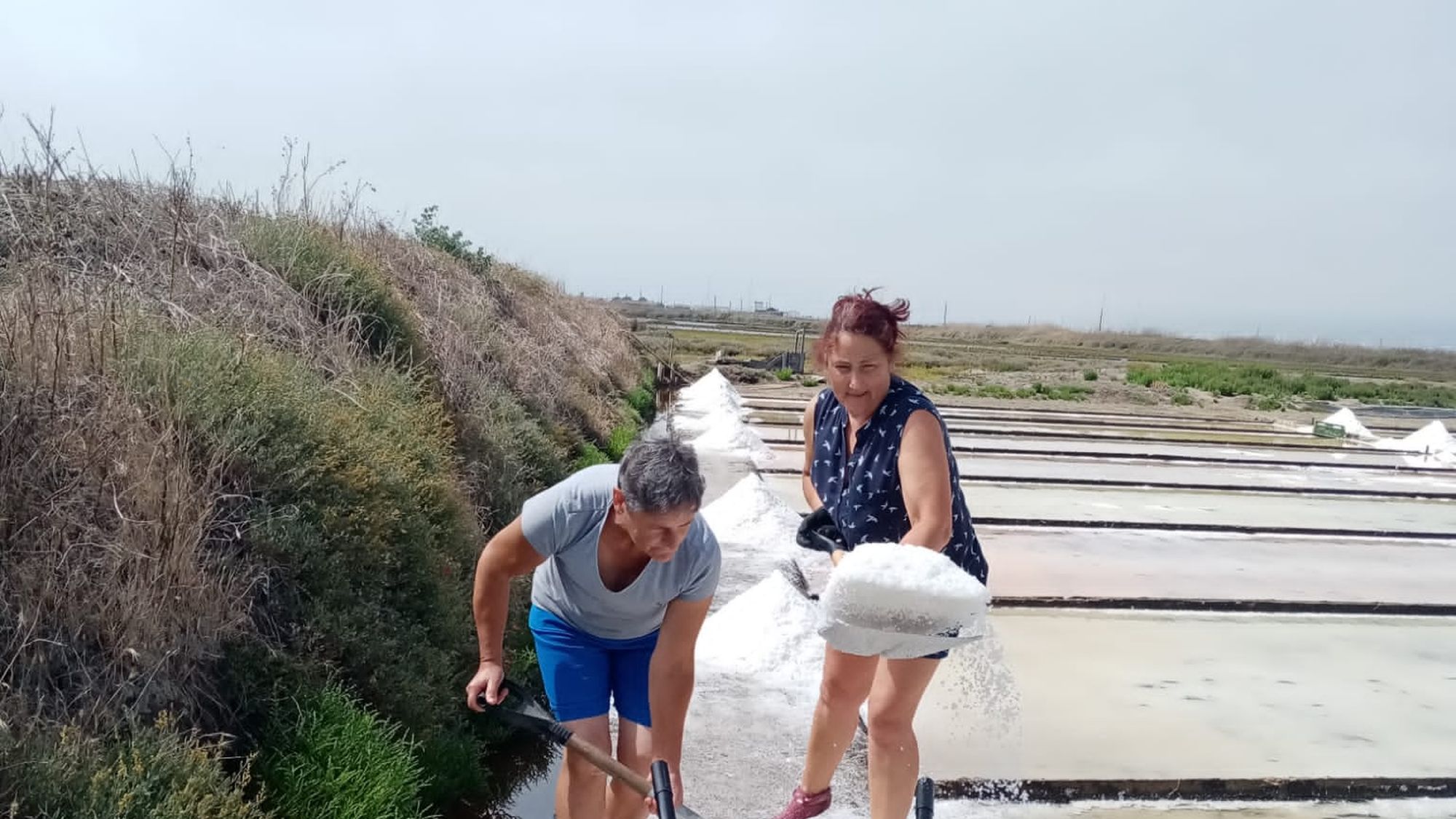The Silva family working the salt pans together, Figueira da Foz