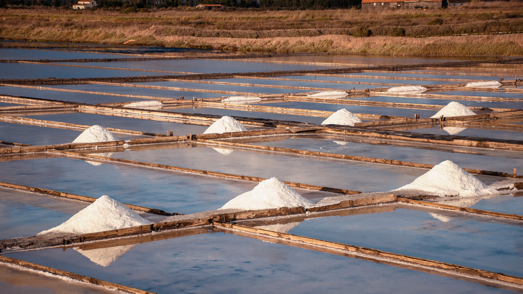 Salt gardens of Figueira da Foz, Portugal — artisanal sea salt pans at golden hour