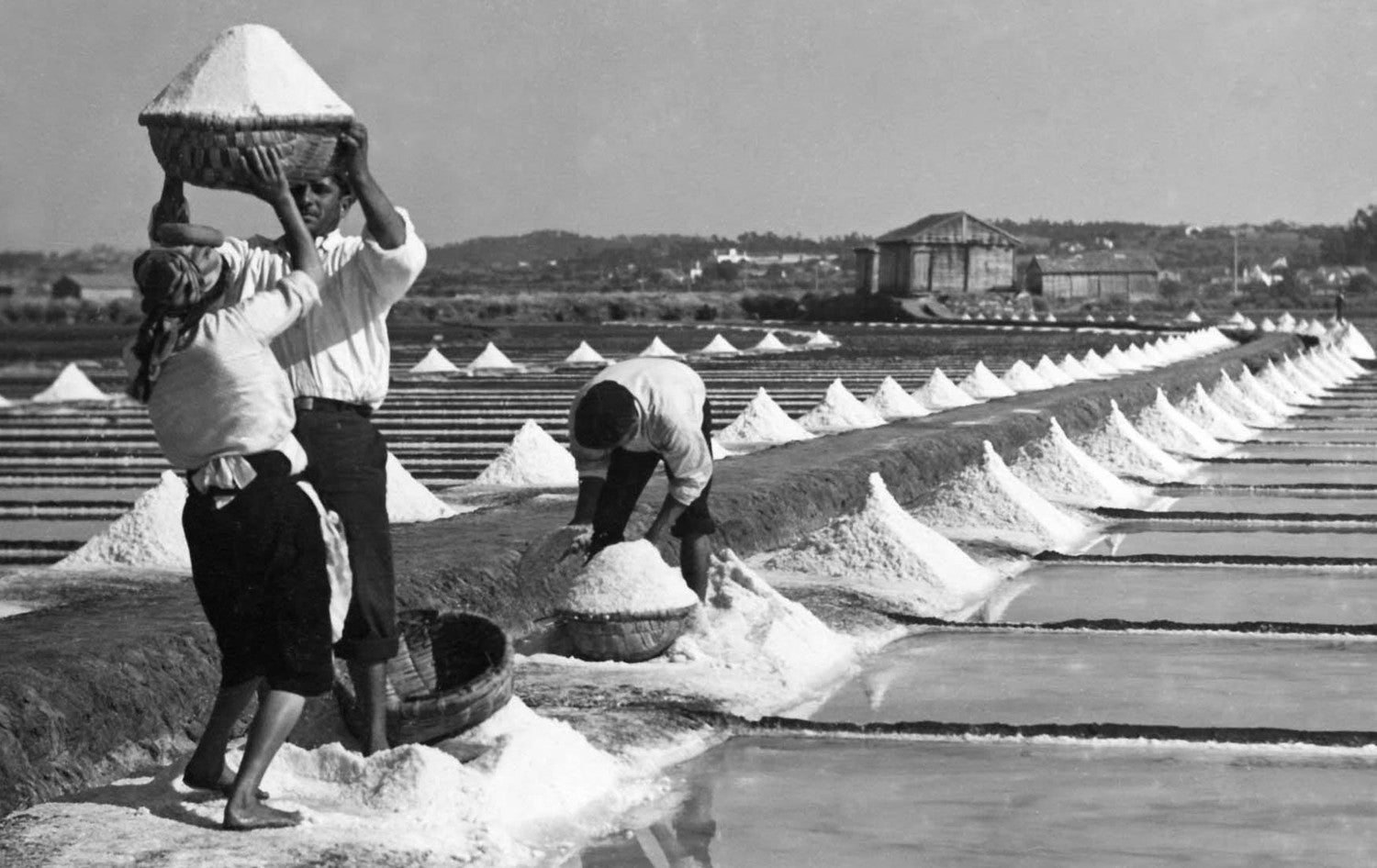Archival photograph of workers carrying salt from the pans by the basket, Figueira da Foz