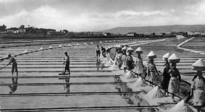 Archival photograph of workers harvesting the salt pans of Figueira da Foz, carrying salt by the basket
