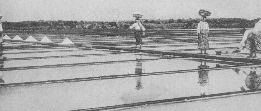 Archival photograph of the salt harvest in the pans of Figueira da Foz, Portugal