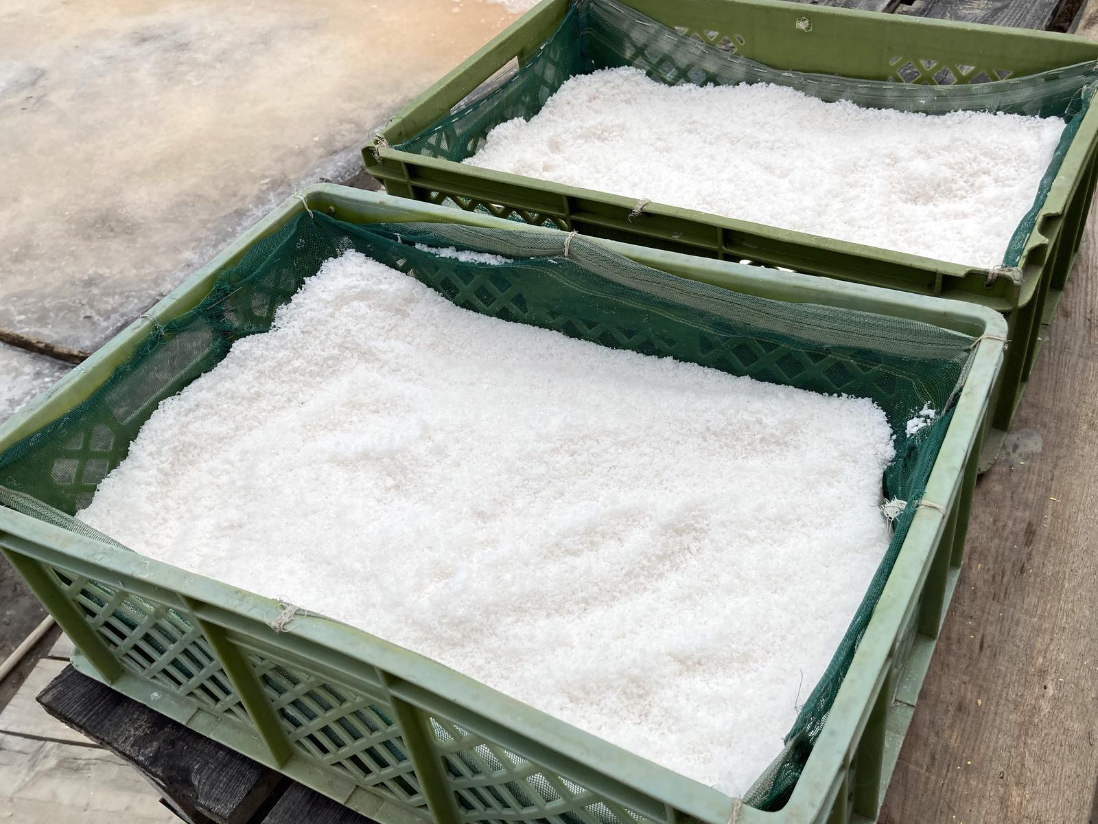 Fine flor de sal skimmed into the harvest trays, Figueira da Foz
