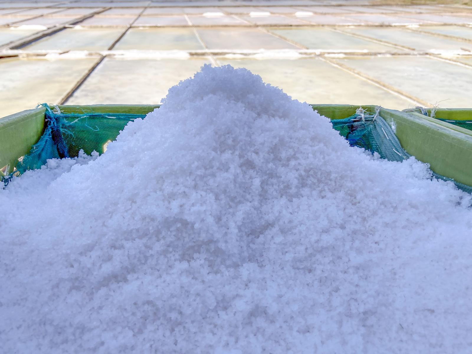 A mound of freshly skimmed flor de sal